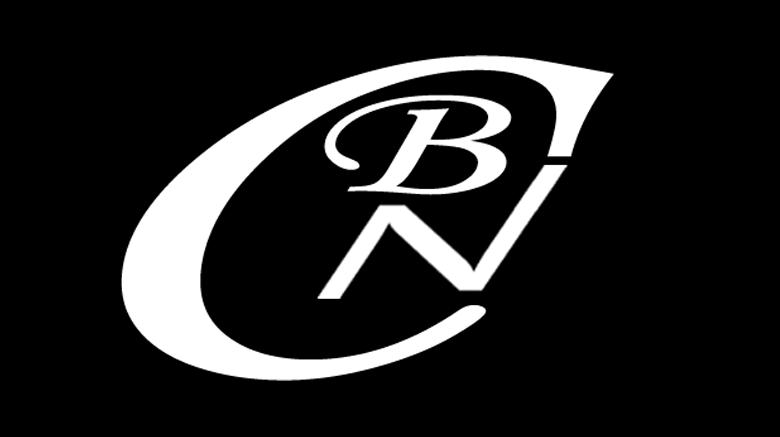 B&N Logo